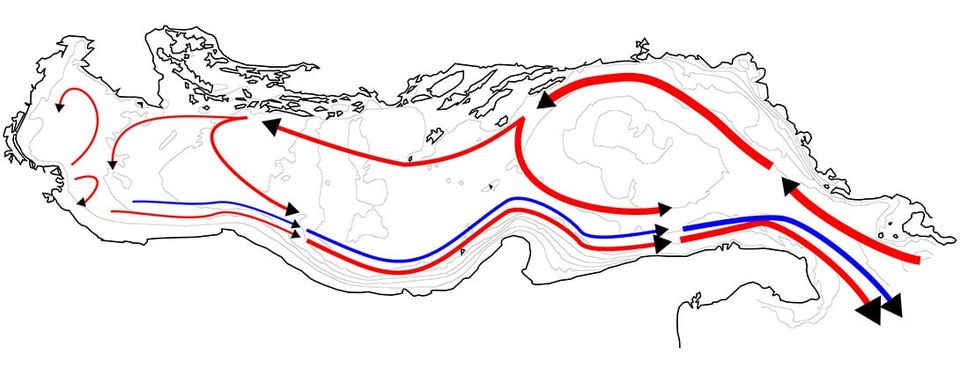 Ocean models turn coarse sea surface maps into fine coastal detail