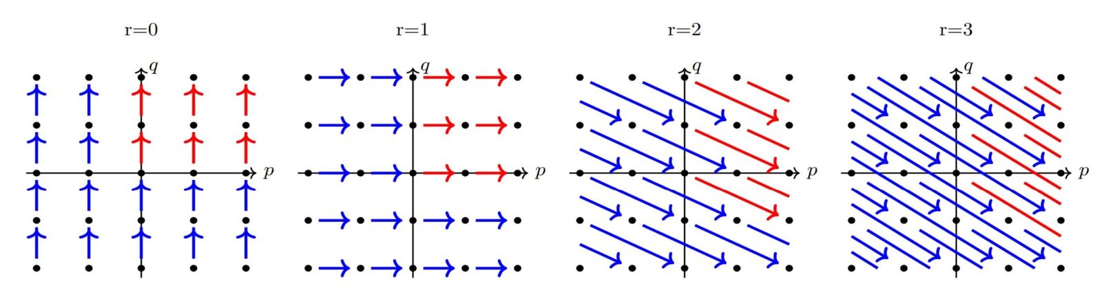 Higher-page tori bring geometric order to irregular complex shapes