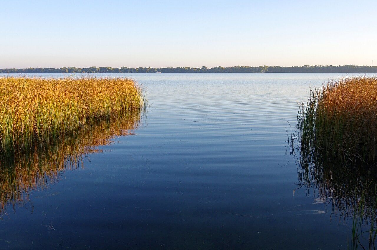 Drowned shoreline timbers reveal Stone Age construction beneath a German lake
