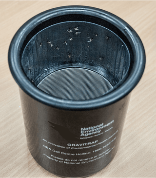 Incompatible mosquito eggs curb dengue transmission in urban neighbourhoods