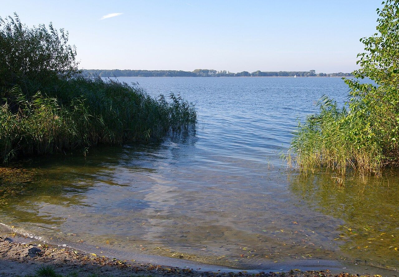 Drowned shoreline timbers reveal Stone Age construction beneath a German lake