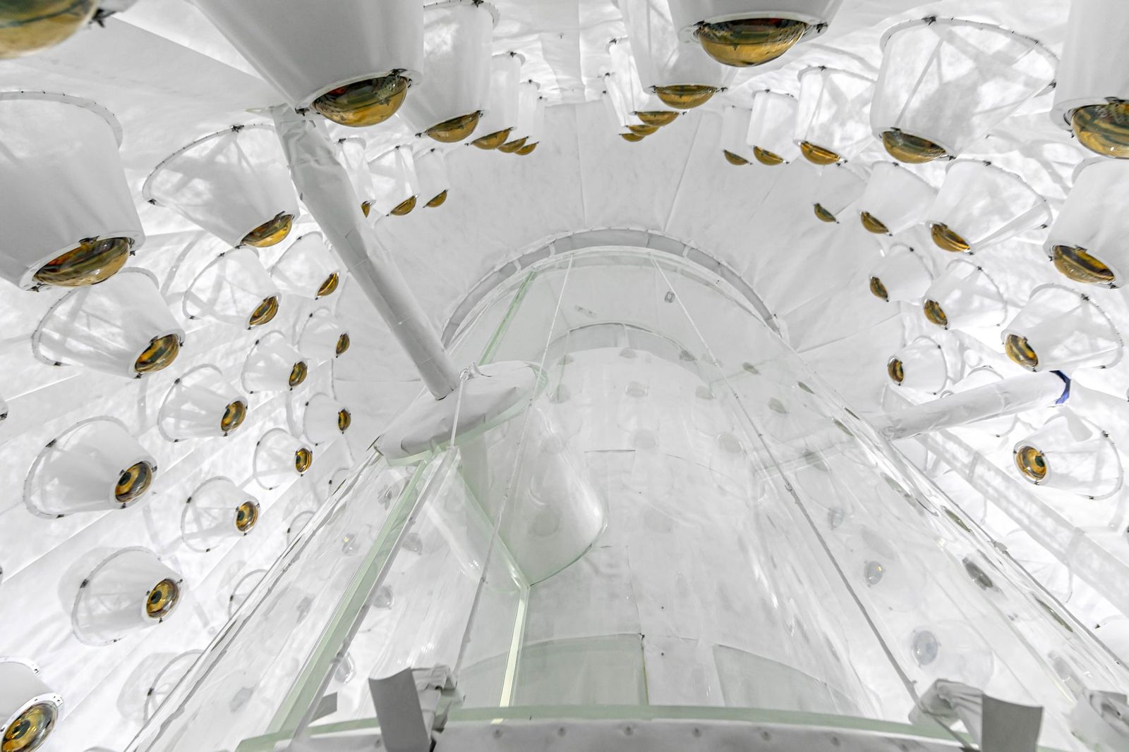 The LUX-ZEPLIN experiment's sensitive sensors and liquid xenon target are designed to detect faint flashes of light from rare dark matter collisions.