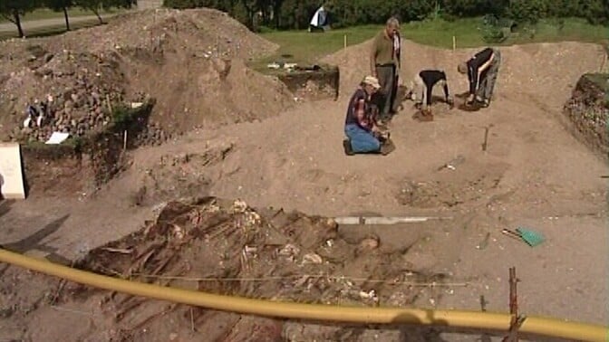Viking society rested on domestic ritual and enslaved labour across Europe