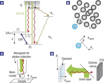 Tiny diamond sensors can track spreading cancer without radiation