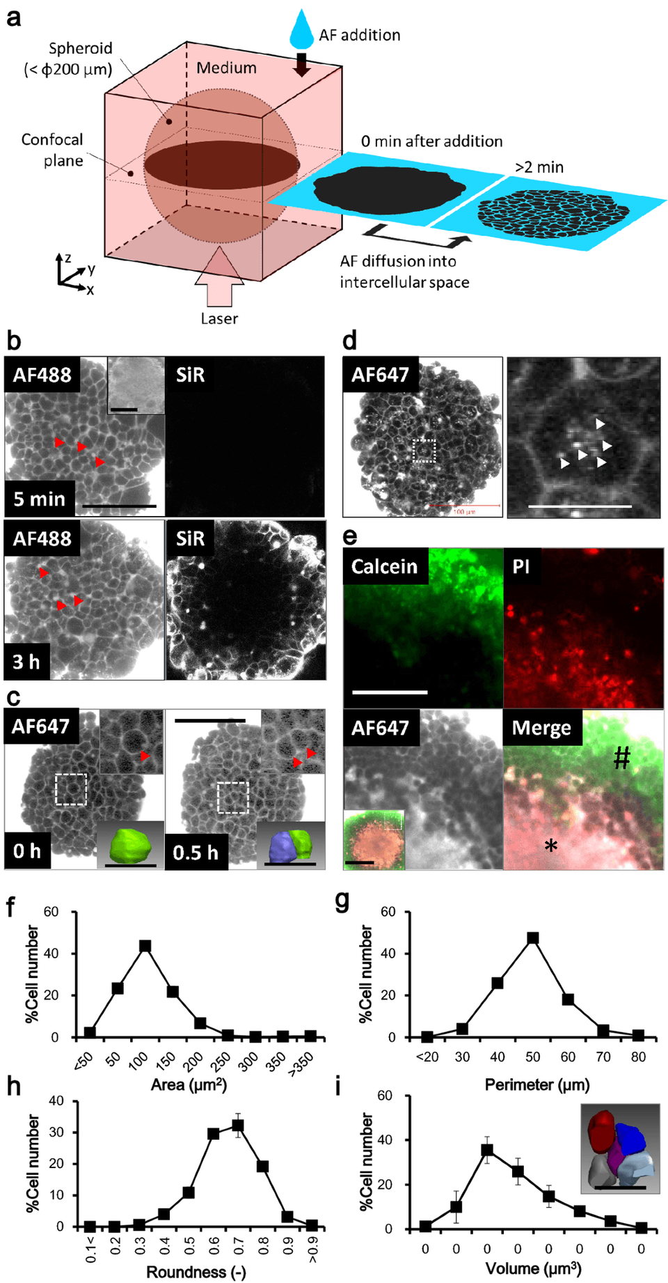 Spheres of living cells and automated vision map the skin barrier