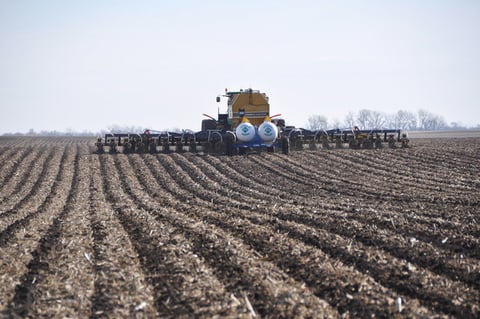 Giving up the plow can raise cash grain returns without organic premiums