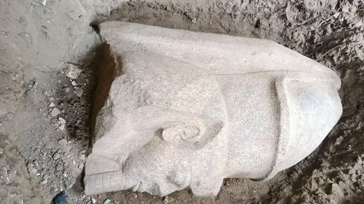Two monumental statues of Ramesses II emerge from northern Egyptian farmland