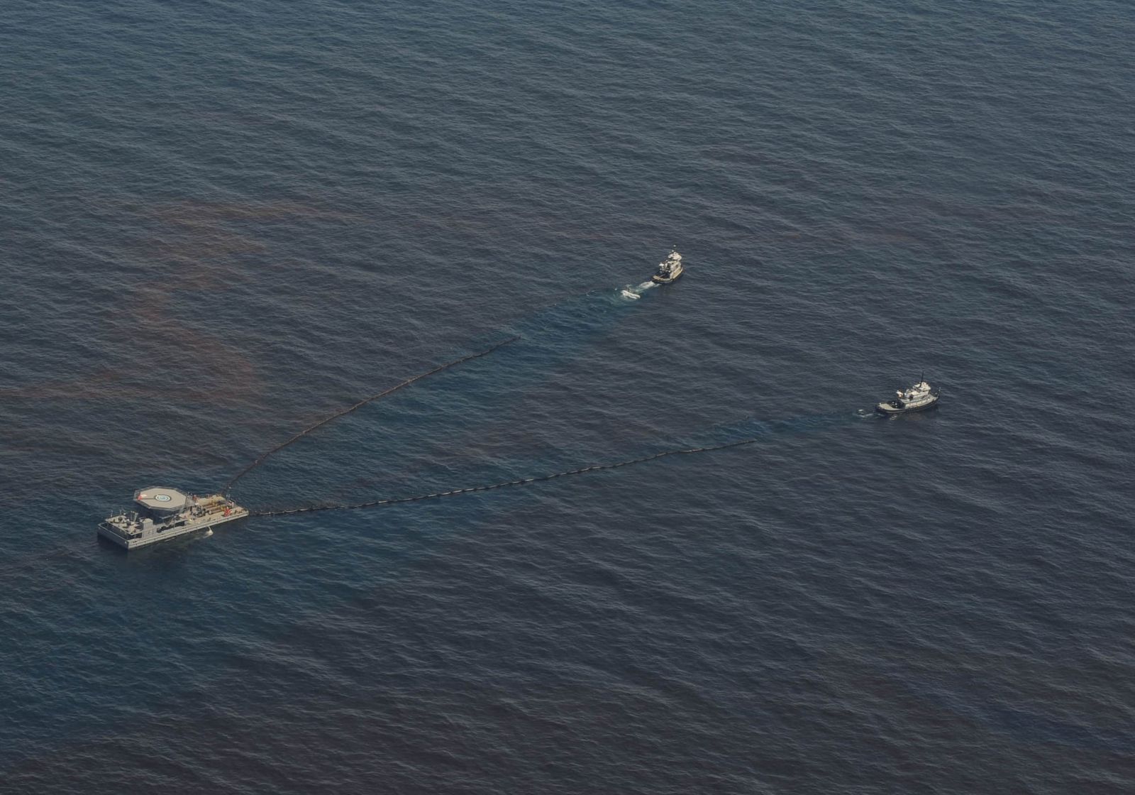 Deep ocean animal populations collapsed across the Gulf of Mexico