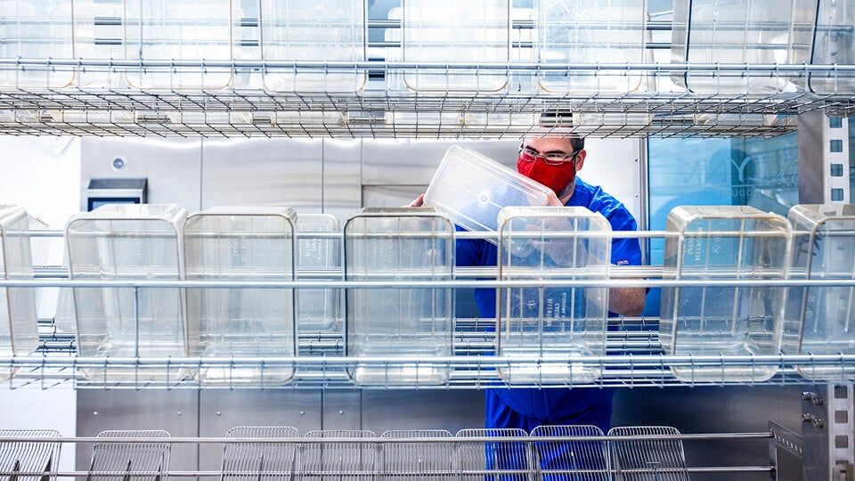 Dietary sugar deepens gut bacterial loss during broad-spectrum antibiotic treatment