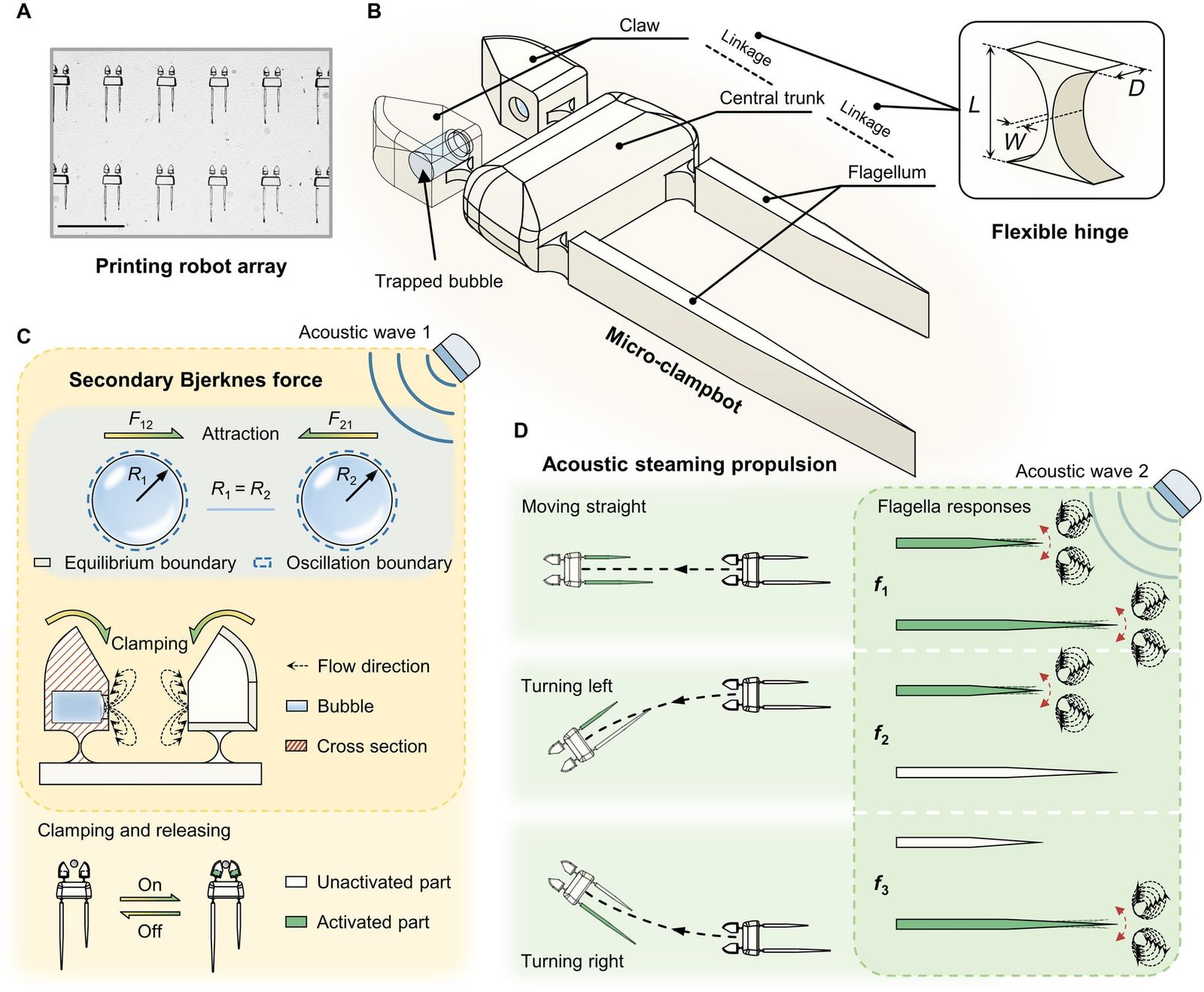Microscopic medical robots edge closer to treating human disease