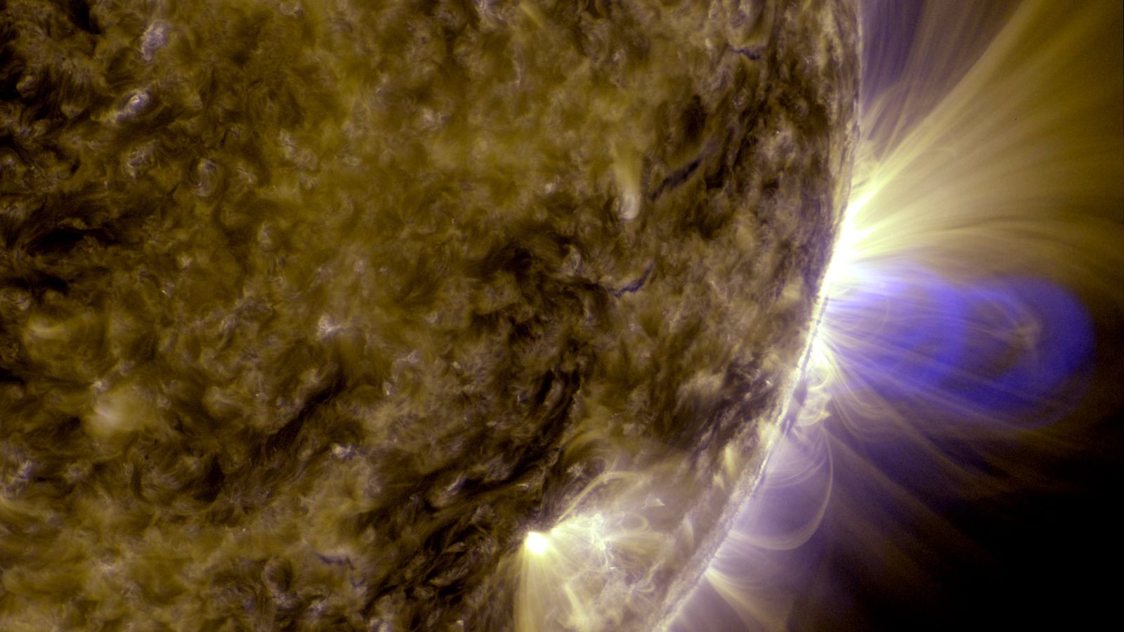 Coronal magnetic fields reveal their three-dimensional structure without new instruments