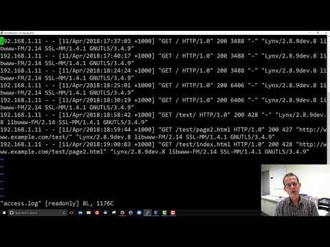 Autonomous software agents improvised web exploits to bypass database barriers