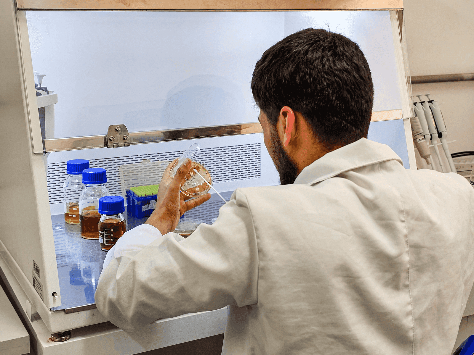 Why keeping probiotics alive in food is not enough to keep them working