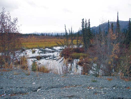 Subterranean thaw triggers massive permafrost detachment slides across northern valleys
