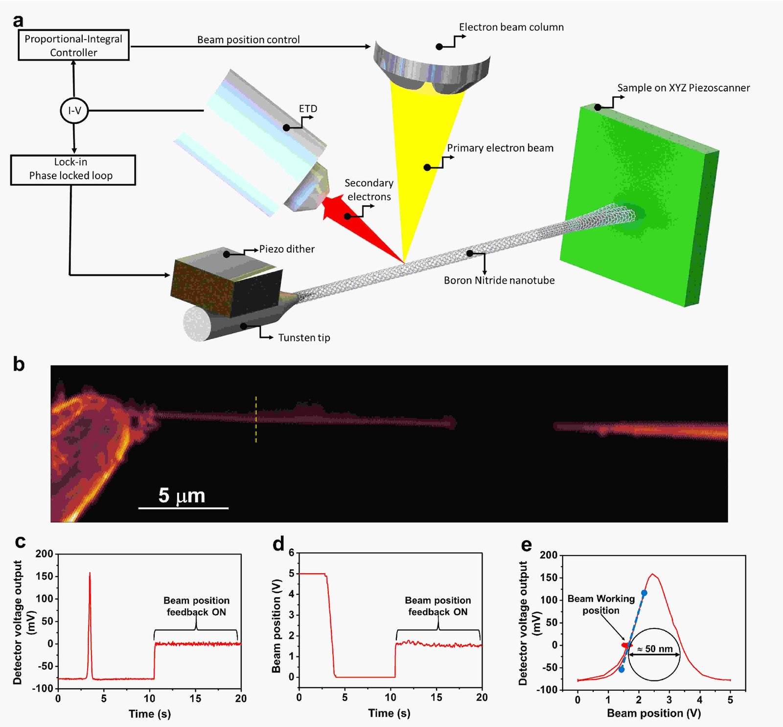 A single molecule quantum sensor measures tiny nuclear magnetic fields