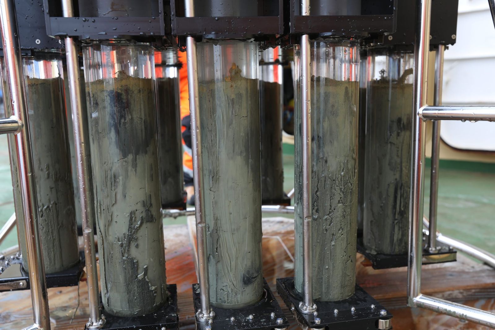 Marine heatwaves accelerate coastal seabed chemistry without killing burrowing animals