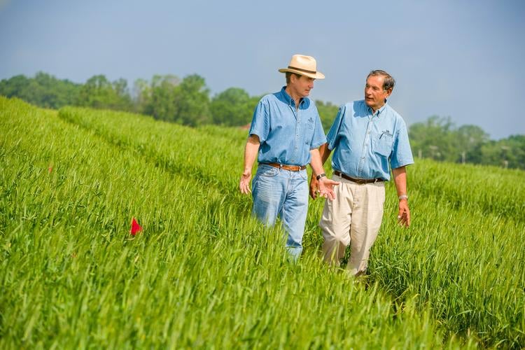 Giving up the plow can raise cash grain returns without organic premiums