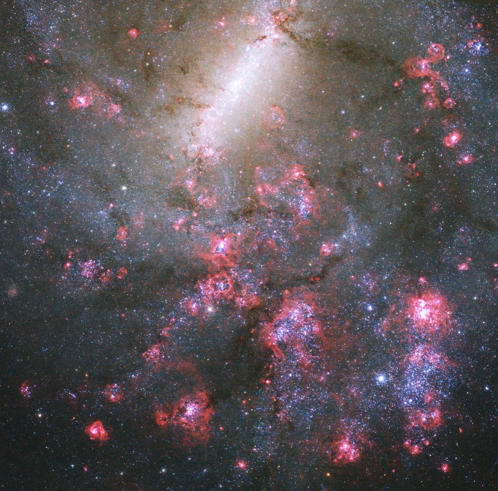 Cosmic sound speeds could distinguish lookalike theories of dark energy