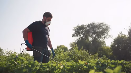 An agricultural worker applying chemical compounds to crops represents the routine farm work that leads to hundreds of millions of pesticide poisonings annually.