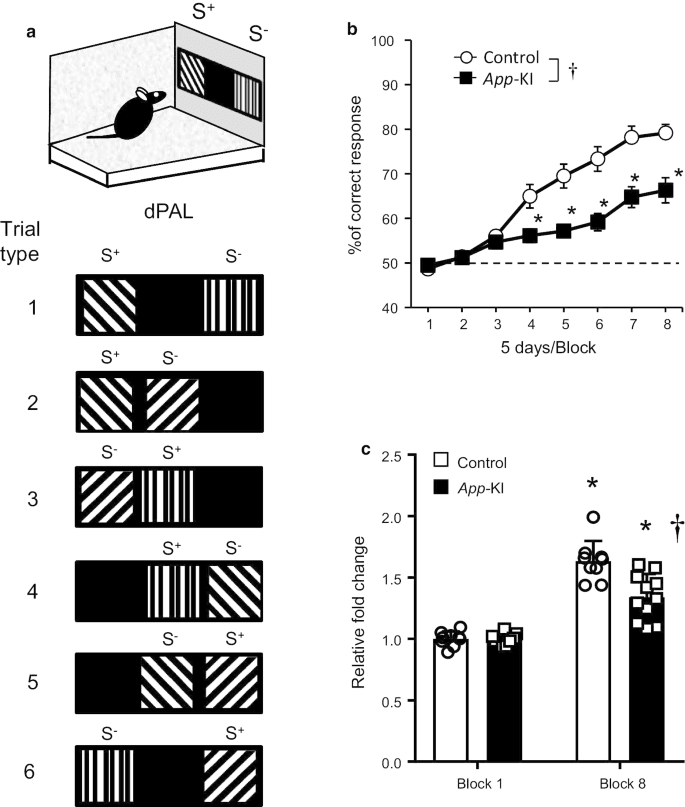 Sex chromosomes direct disease risk and cellular aging independently of hormones