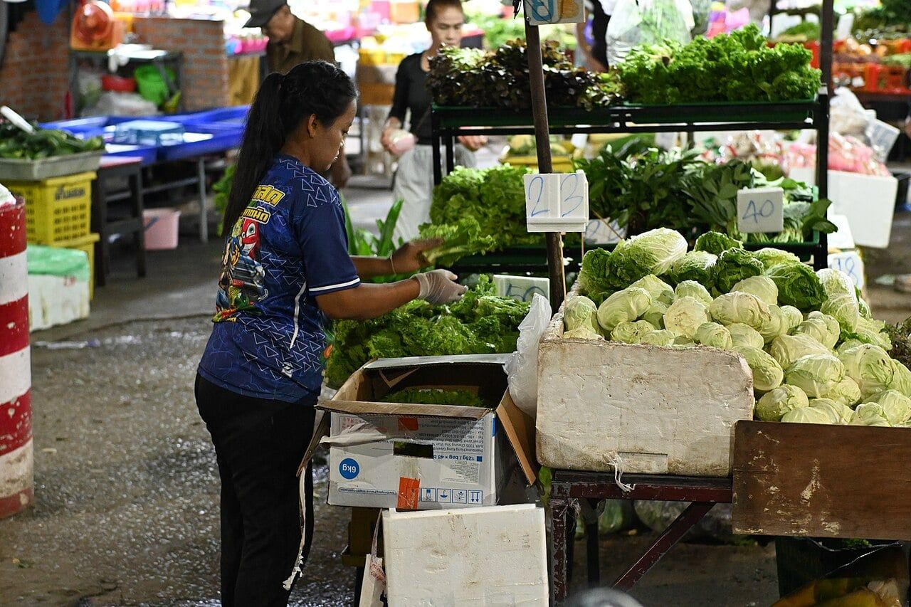 Gut microbes linked to brain health reflect only narrow populations