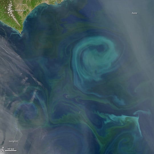 Ocean models turn coarse sea surface maps into fine coastal detail