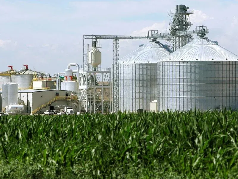 Biofuel mandates could claim 36 million hectares by 2030