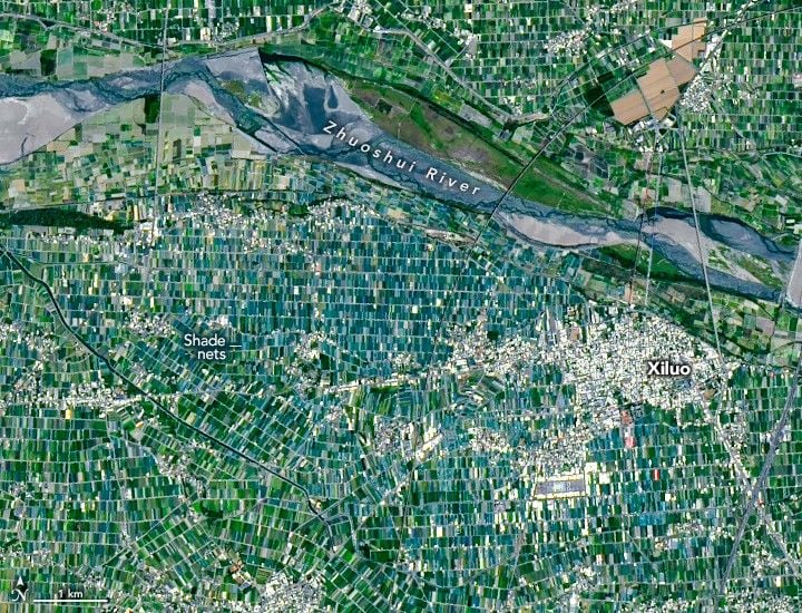 A dense agricultural mosaic covers Taiwan along the Zhuoshui River