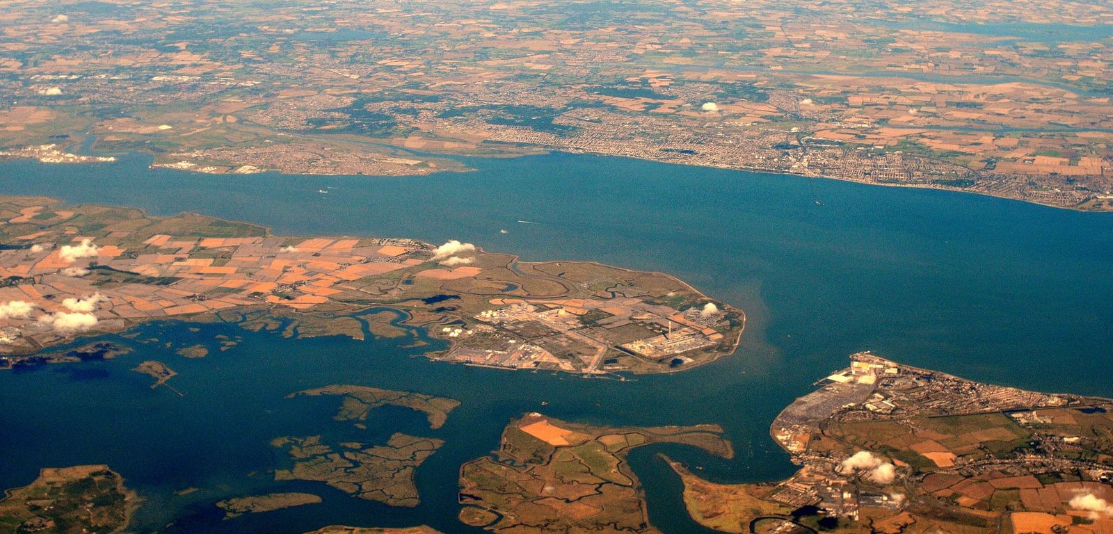 Tidal Thames fish numbers reveal fragile gains since historical collapse