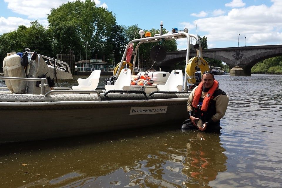 Tidal Thames fish numbers reveal fragile gains since historical collapse