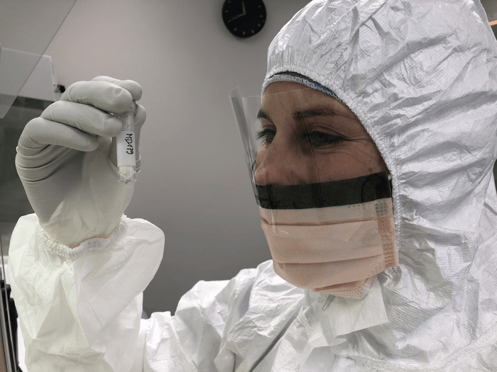 Ancient DNA shows Ice Age hunters preferentially harvested female mammoths