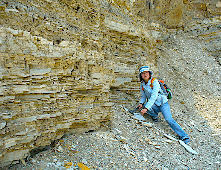 A giant plant eating theropod with an extreme underbite walked Cretaceous China