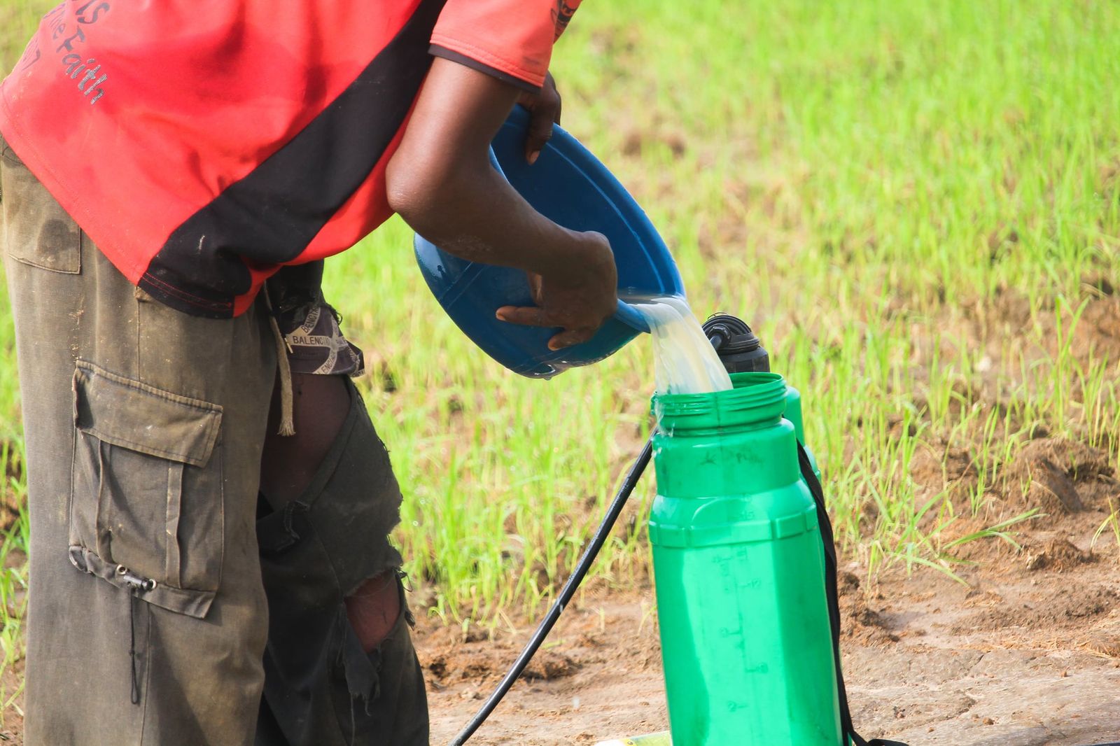 Pesticide poisonings strike nearly half of the world's agricultural workers annually