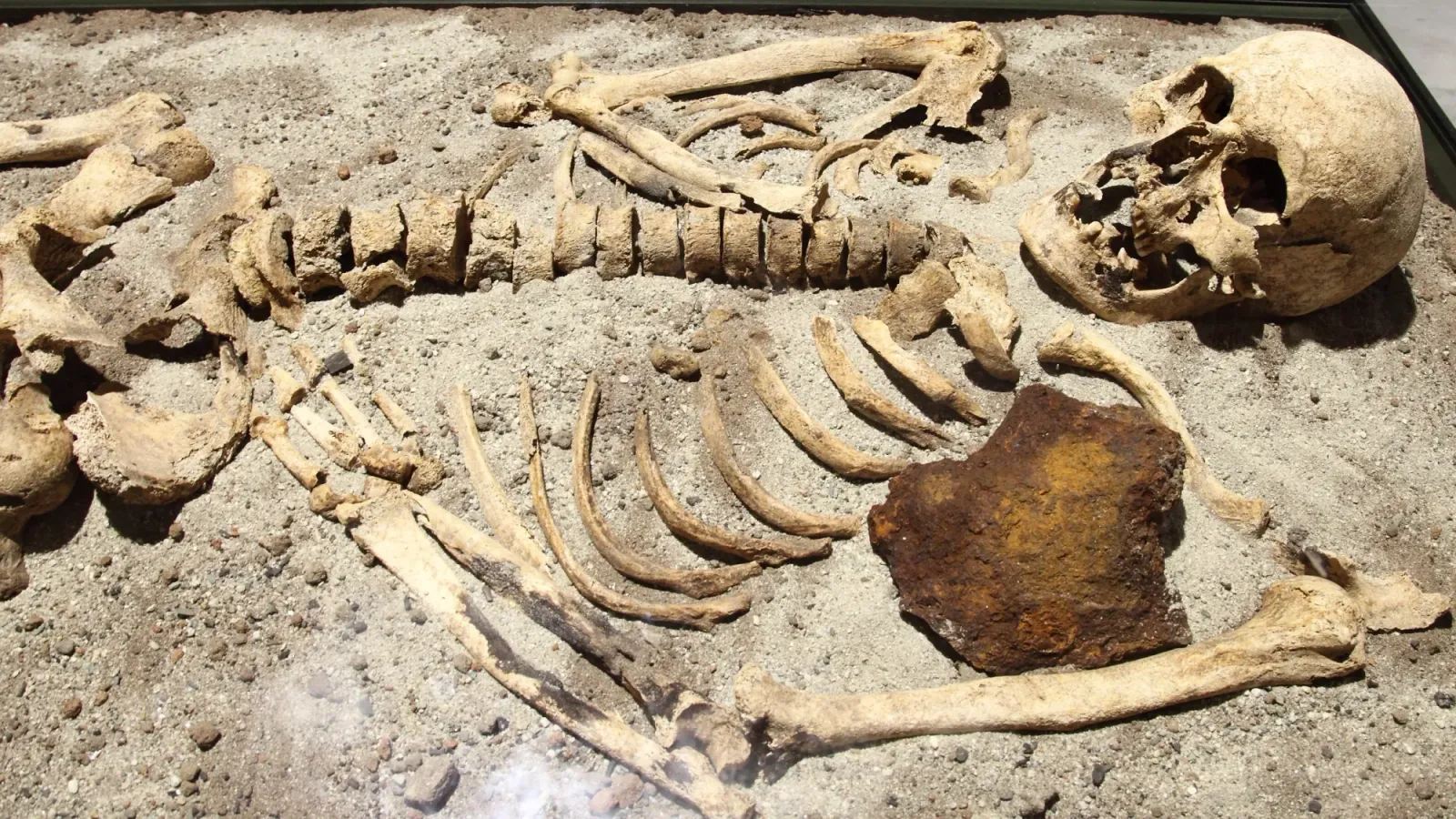 Early European print culture shaped macabre remedies against the undead