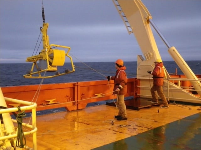 Marine heatwaves accelerate coastal seabed chemistry without killing burrowing animals