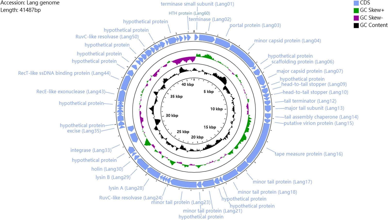 Marine viruses face narrower environmental limits than the bacteria they infect